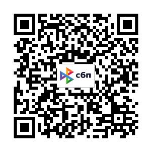 QR-код  для оплаты через СБП юрлицами и ИПна ИП Чепайкин Андрей Владимирович (Банк Озон)
