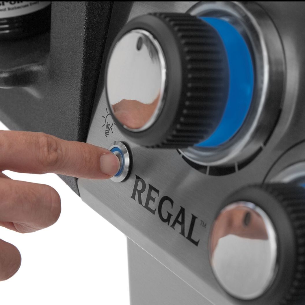 Купить REGAL™ S590IR