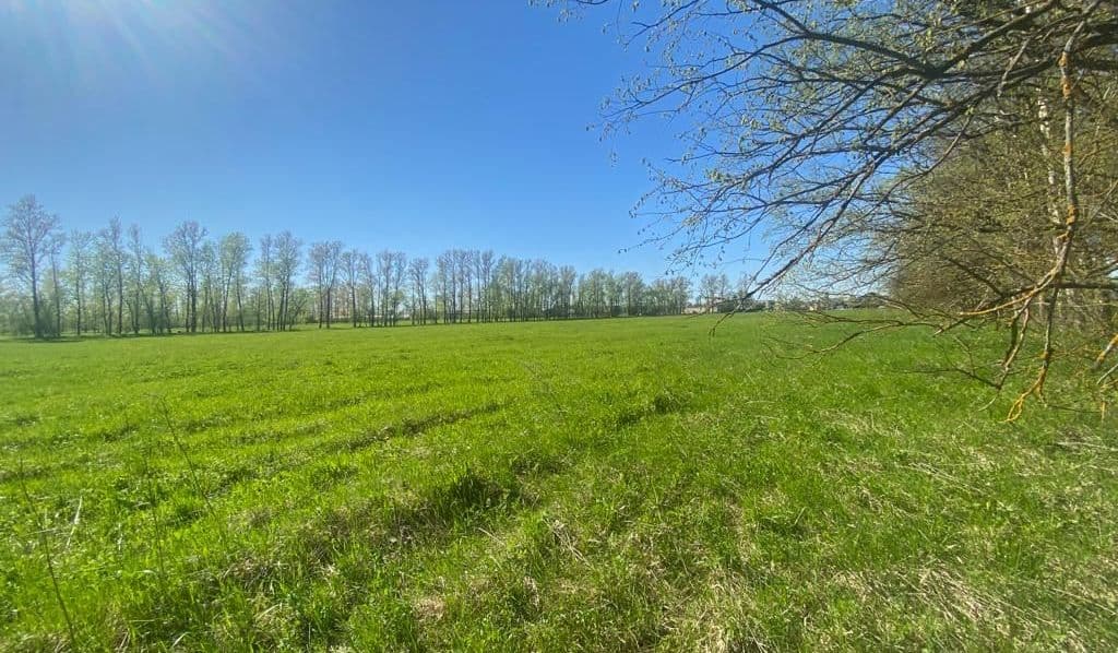 Оценка_земли