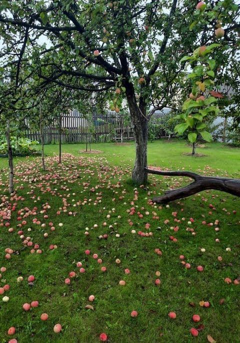 Участок под ведение садоводства