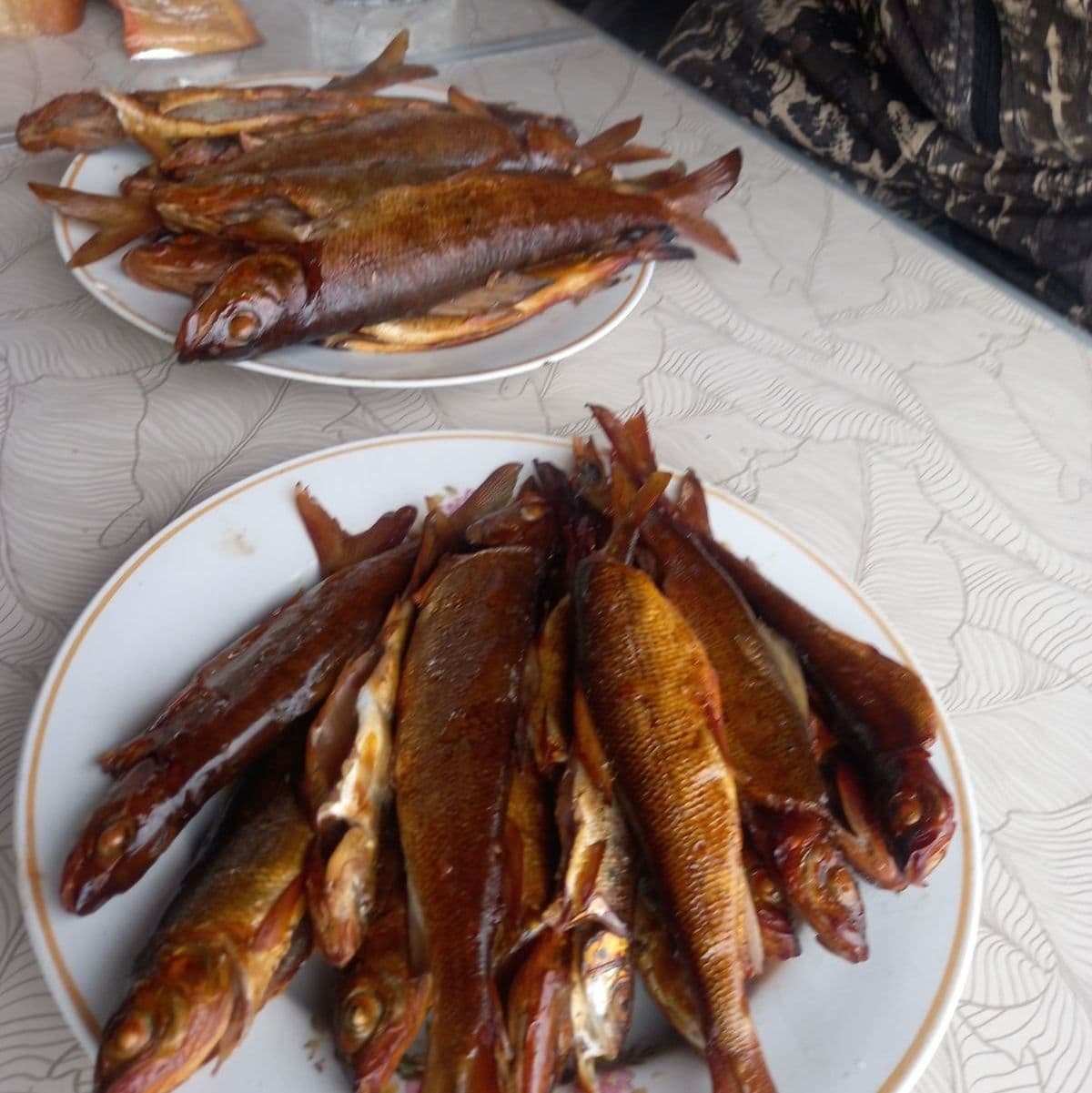 Копчёный хариус, рыбалка на хариуса на Северном Урале
