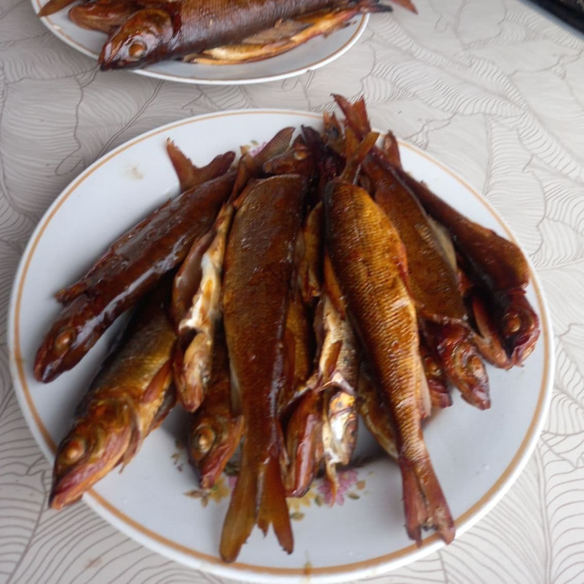 Хариус горячего копчения, рыбалка на Хариуса