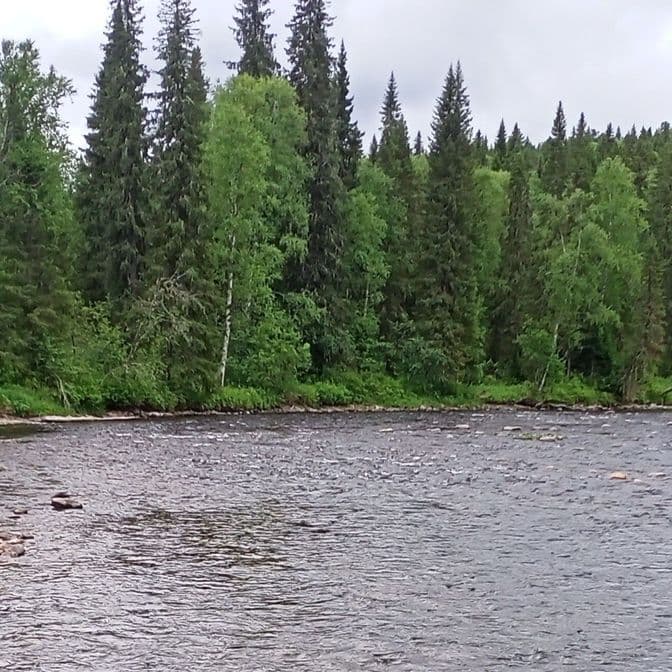 Река Березовая, Пермский край, туризм, рыбалка на хариуса