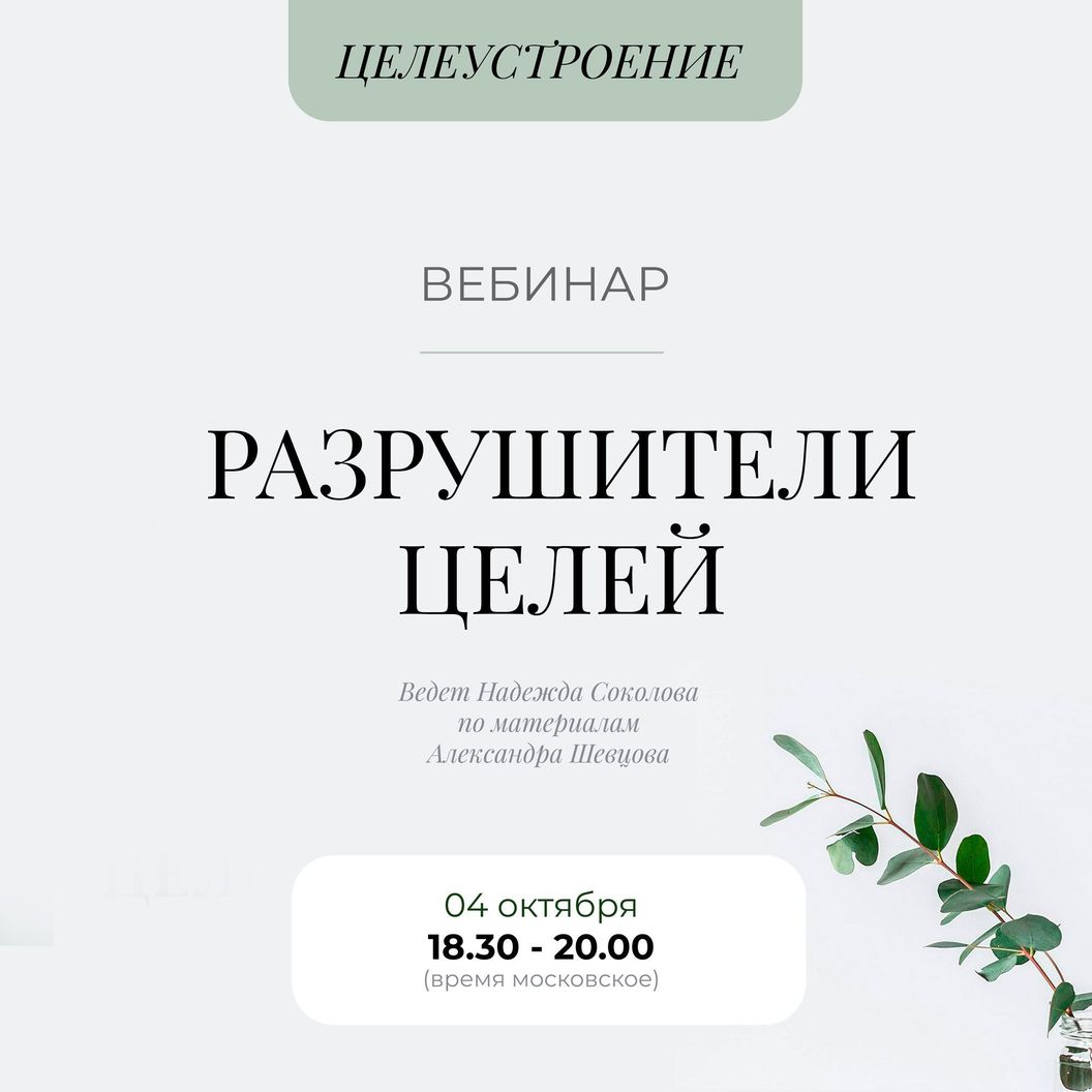 Купить Вебинар Разрушители целей