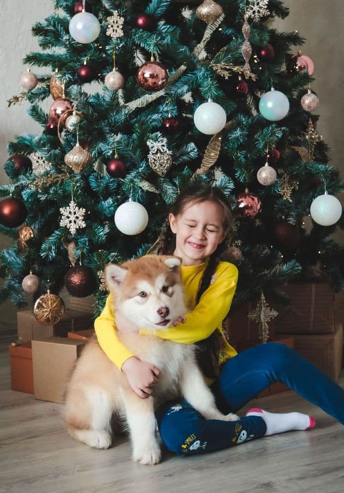 shchenok_alyaskinskogo_malamuta_i_rebenok