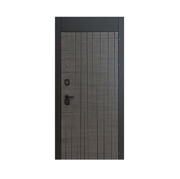 Купить Входная дверь DV10 APART