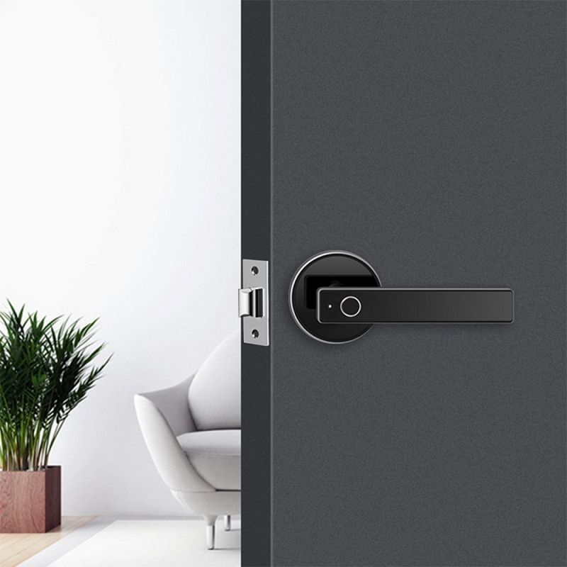 Купить Электронный SMART-замок HL-F47SM