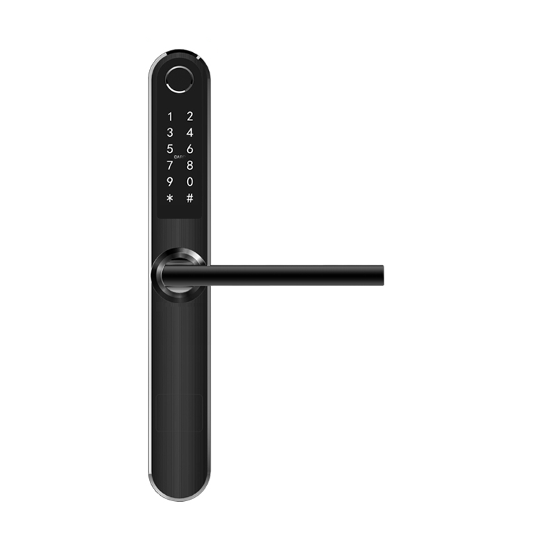 Купить Электронный SMART-замок HL-F46-SM-MF High-Tech
