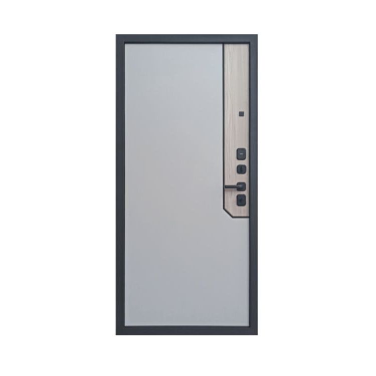 Купить Входная дверь DV10 APART