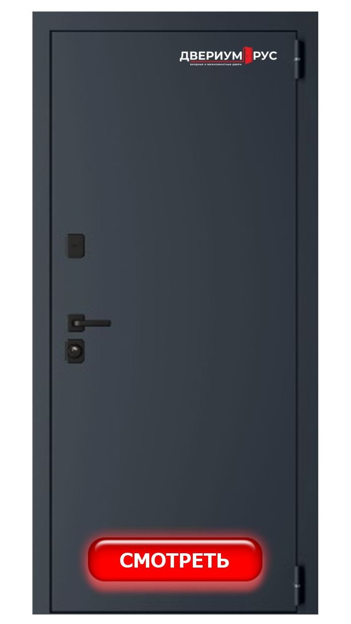 Входная дверь DV3 DESIGN DVERIUM