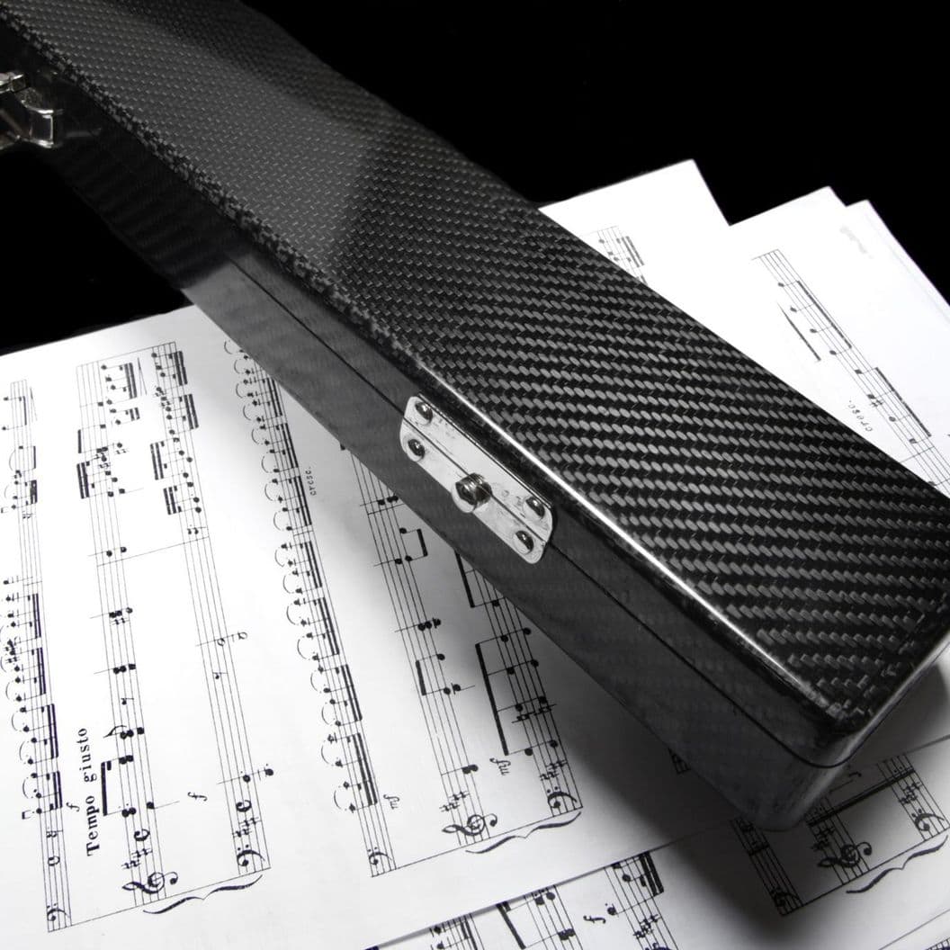 Купить Double carbon case 