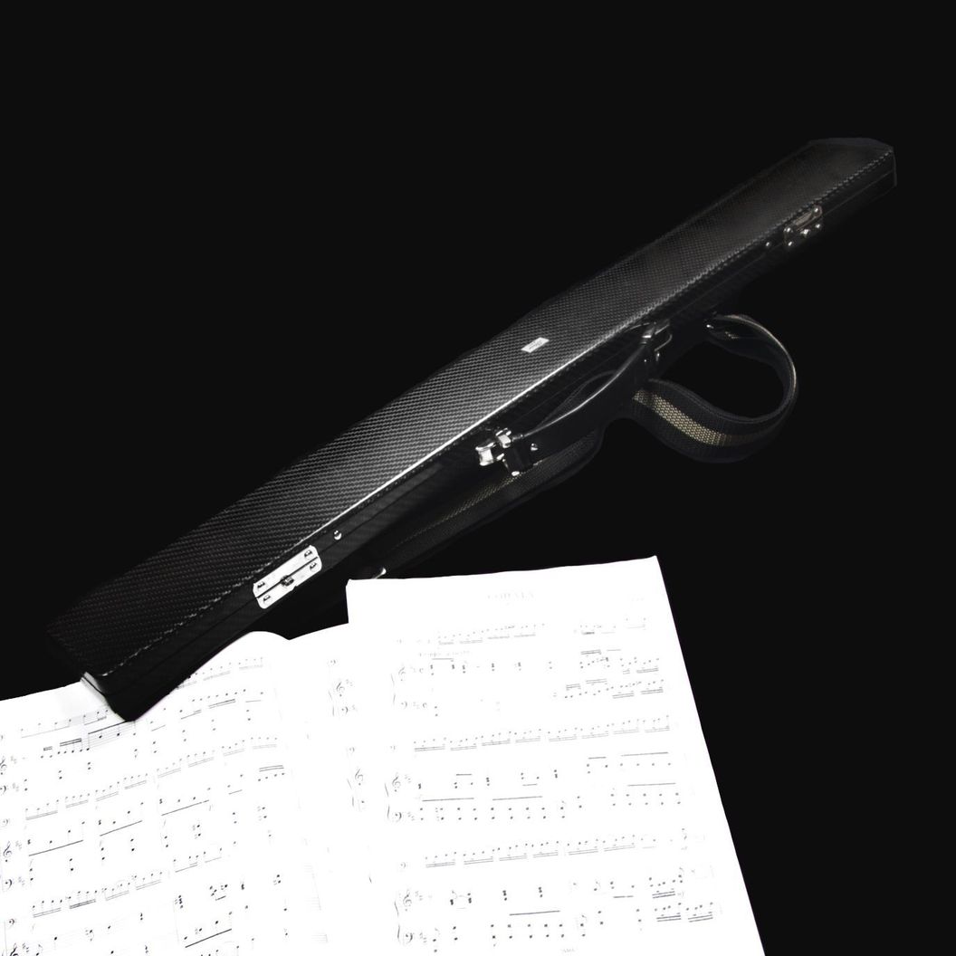 Купить Single carbon case