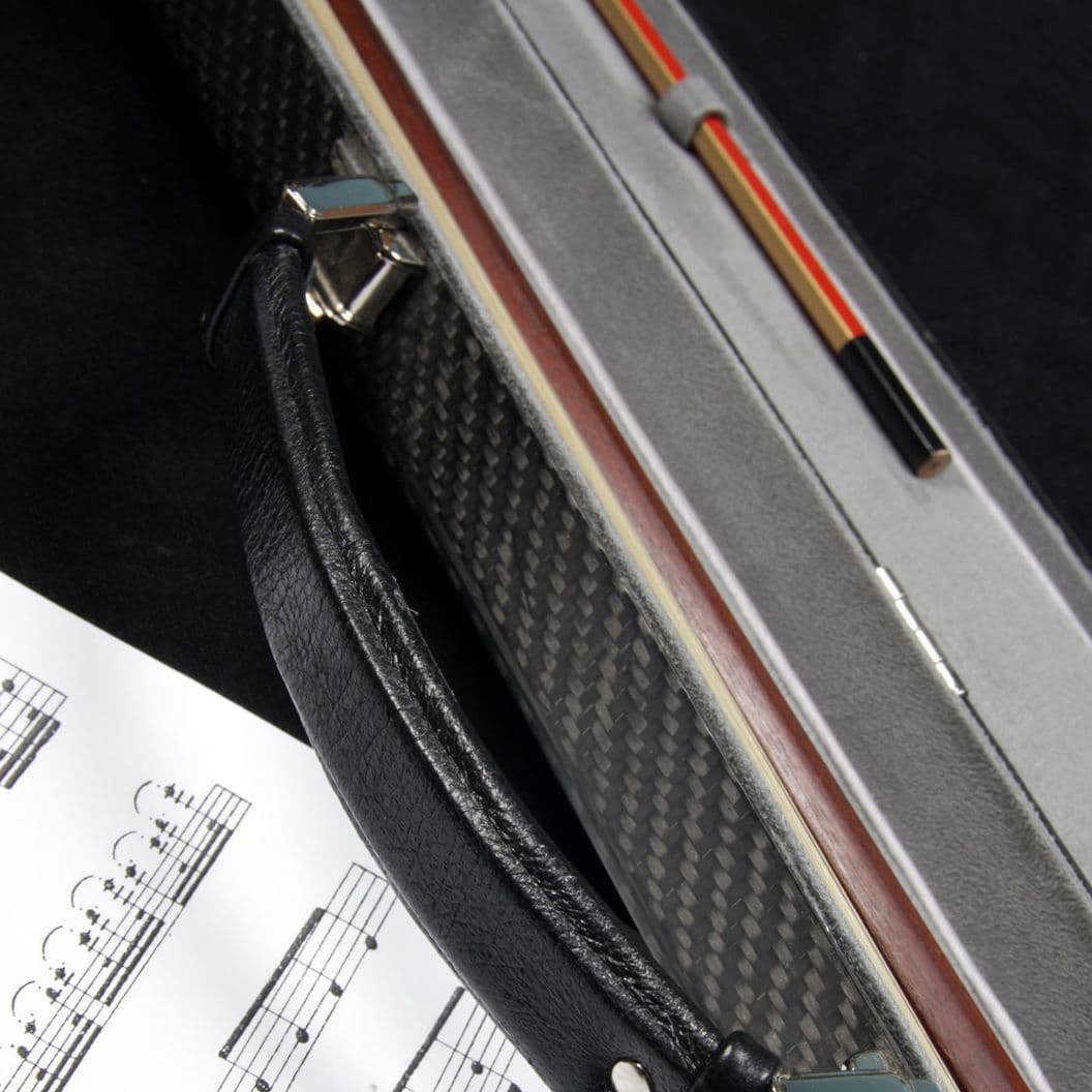 Купить Double carbon case 