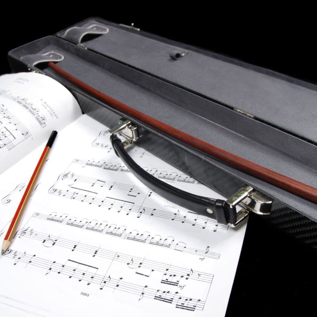 Купить Double carbon case 