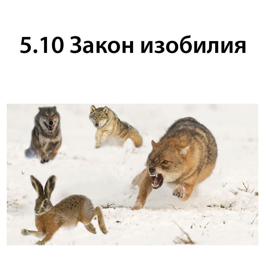 Закон изобилия