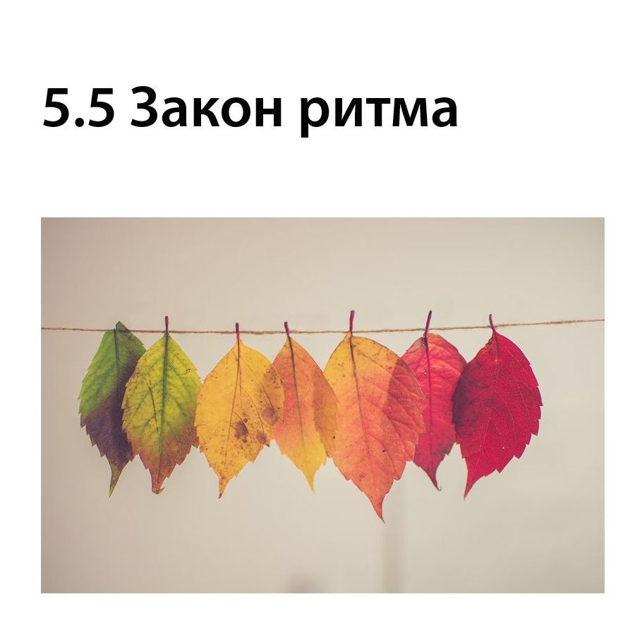 Закон ритма