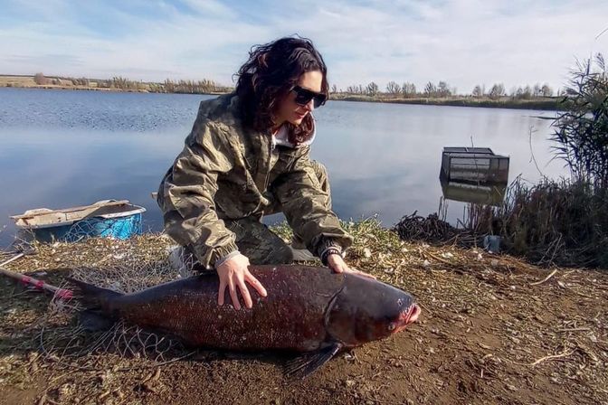 Рыбалка в Волгограде, Саратове. Толстолобик. РостурЭксперт. Ростур Эксперт. rostur.expert
