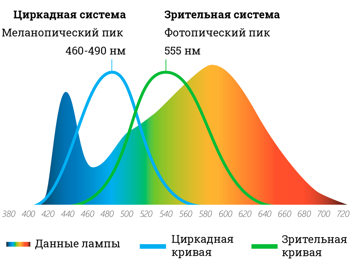 Эквивалент меланопического люкса (EML) — это показатель воздействия света на циркадный цикл