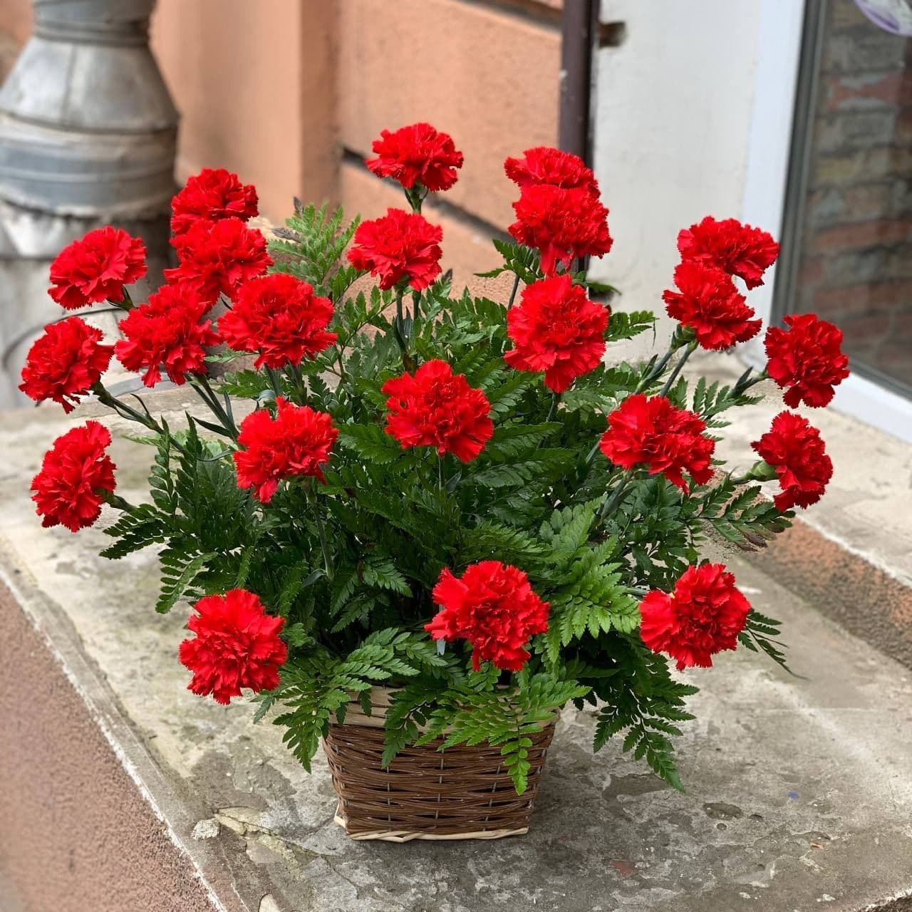 Траурные корзины из красных гвоздик