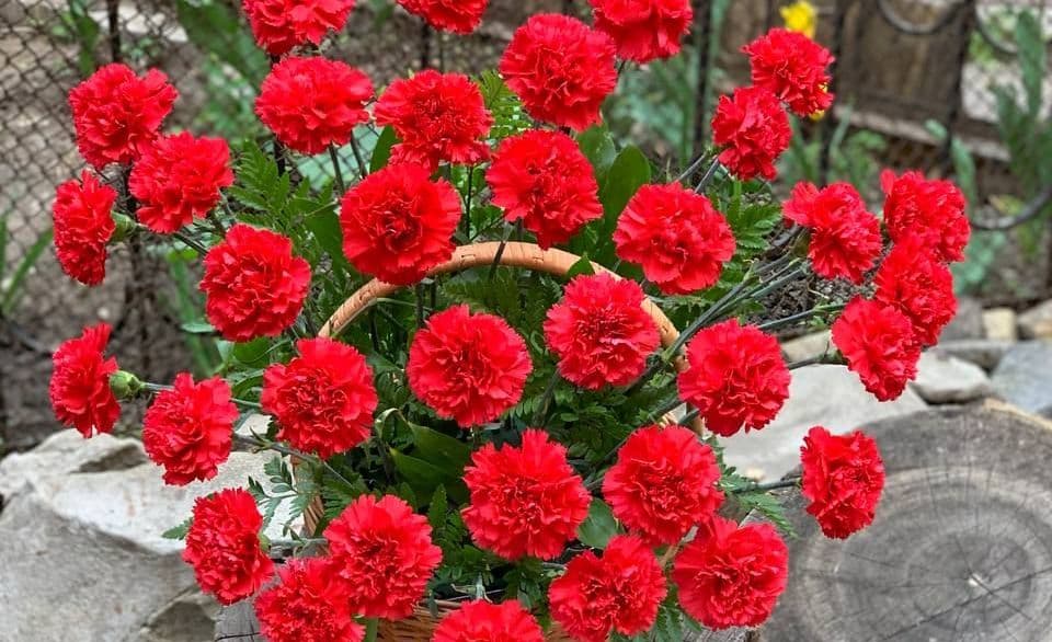 Купить недорого Корзину розовых цветов на похороны в Ростове на Дону.