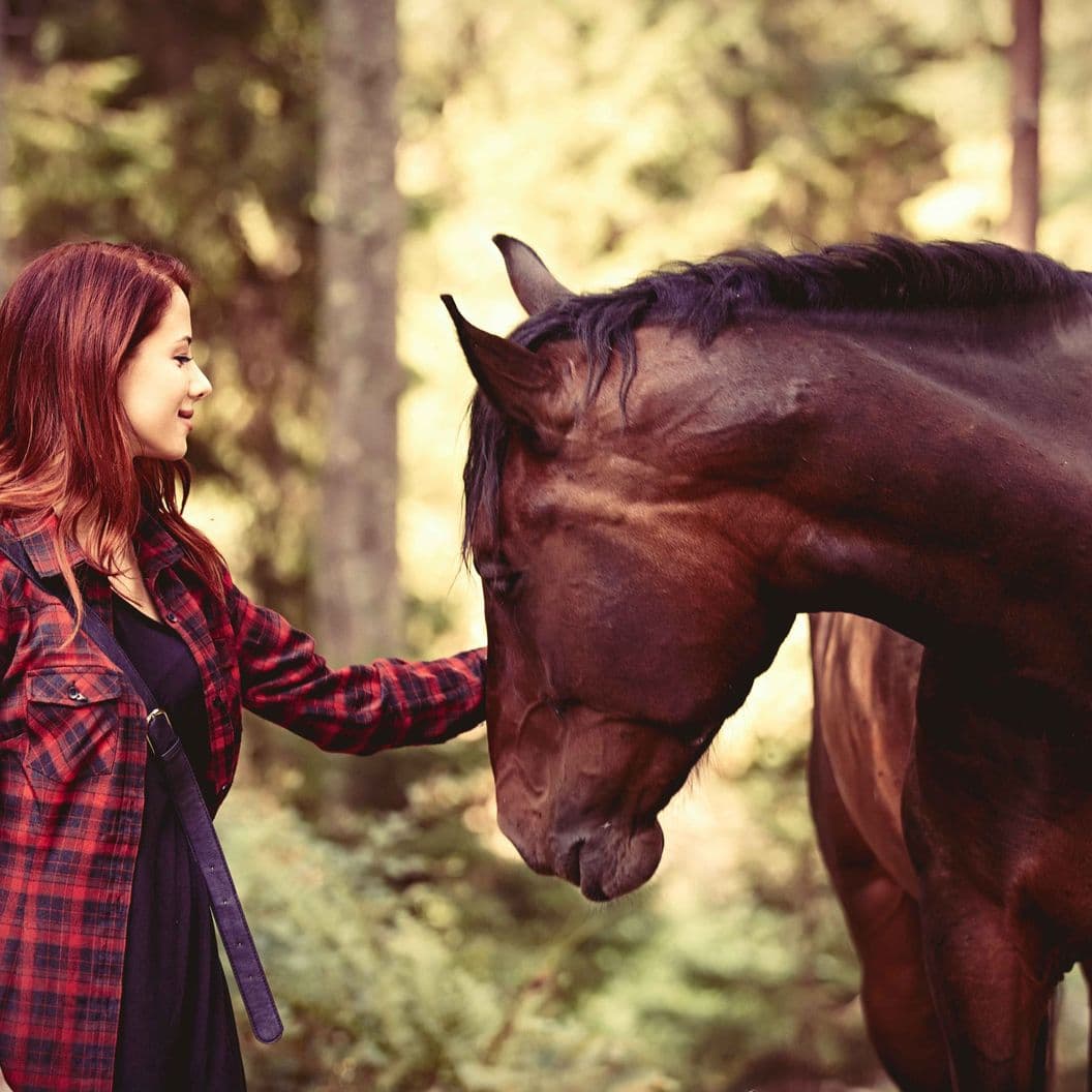 Купить Конный поход