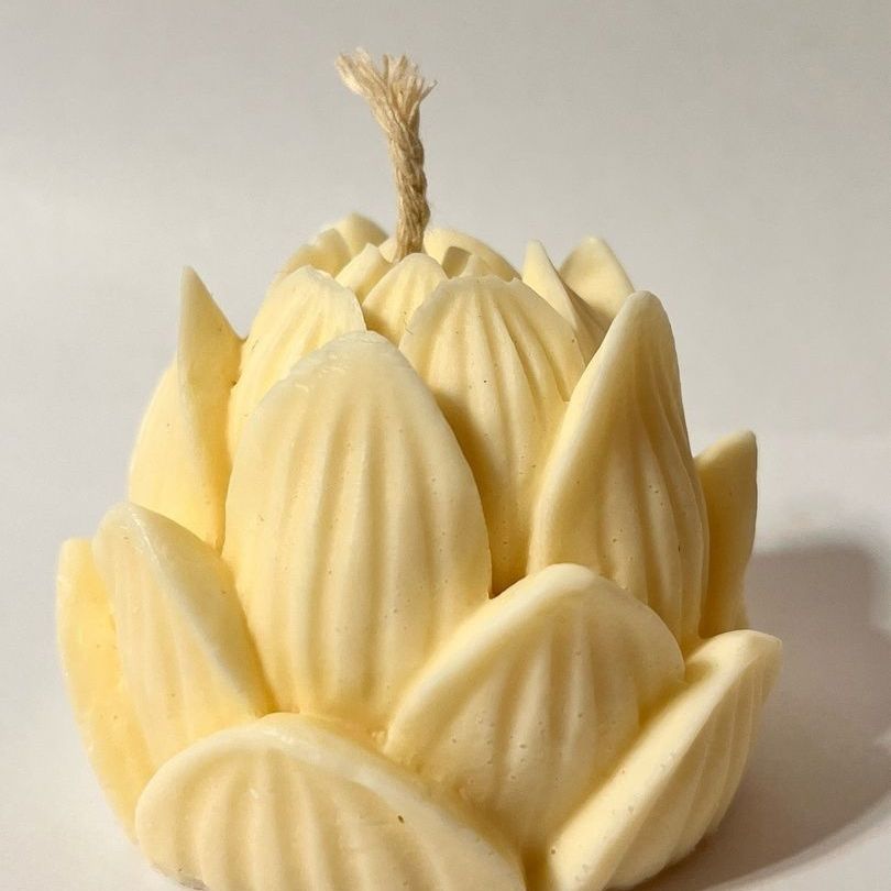 Купить Лотос