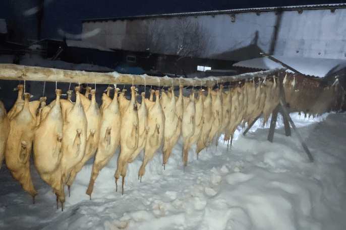 гуси нижнекамск