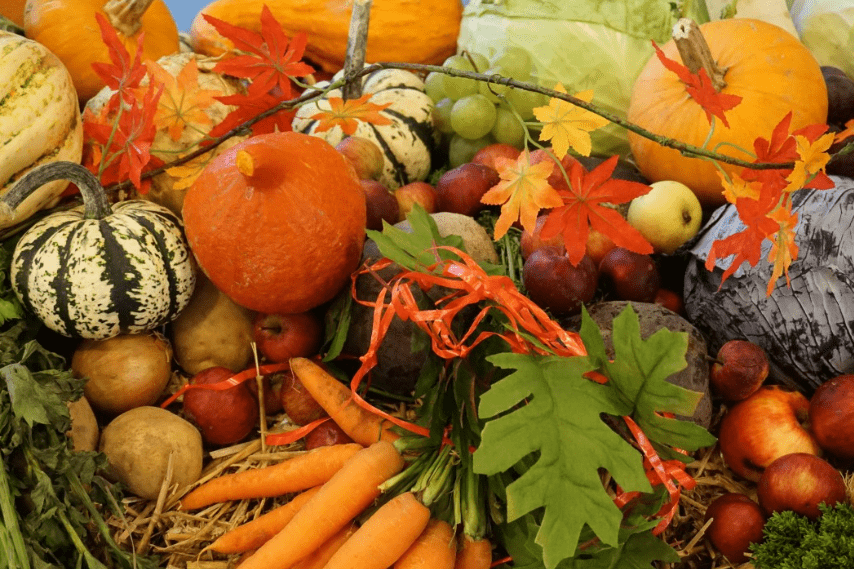 Овощи с огорода