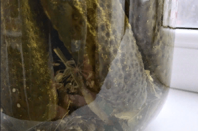 Огурцы соленые