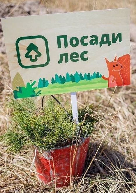 С Вашей помощью мы сможем посадить больше деревьев!