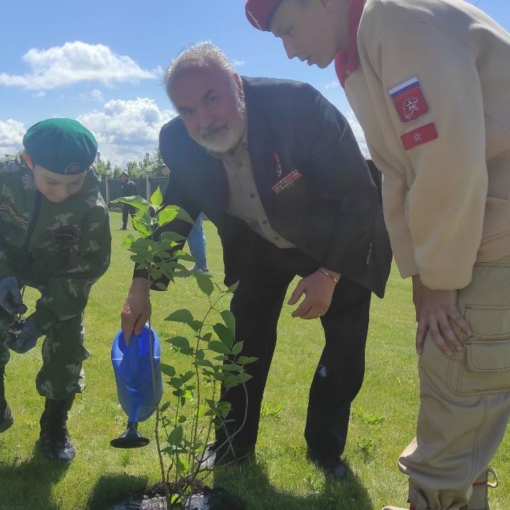 Купить Сирень Памяти