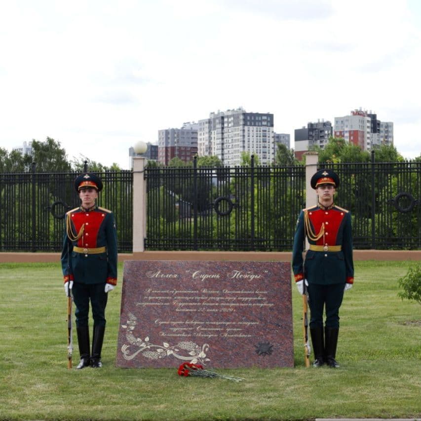 Купить Сирень Памяти