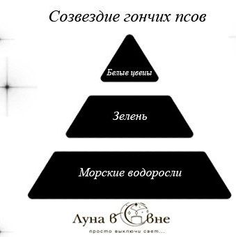 Галерея