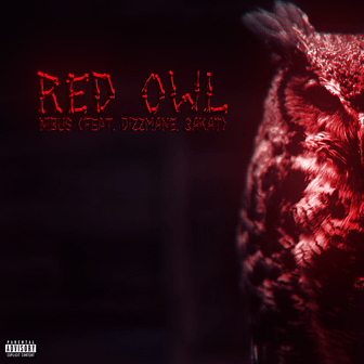 NibuS - RED OWL