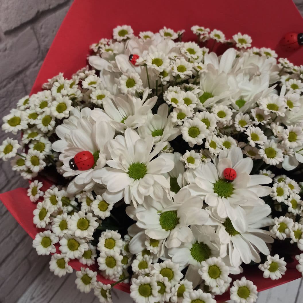 Купить Микс Хризантем (арт.Ц121)