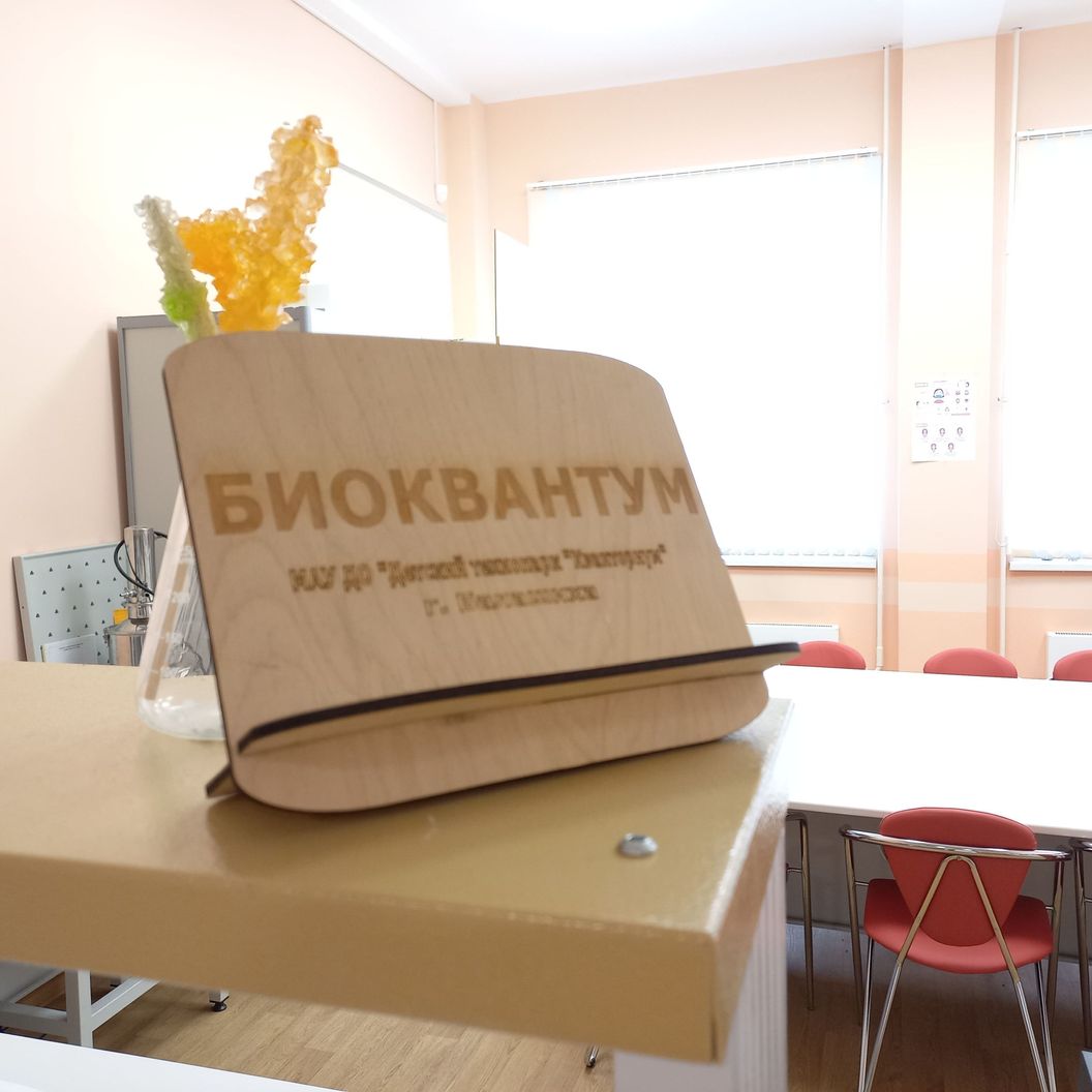 Поддержка дополнительного образования