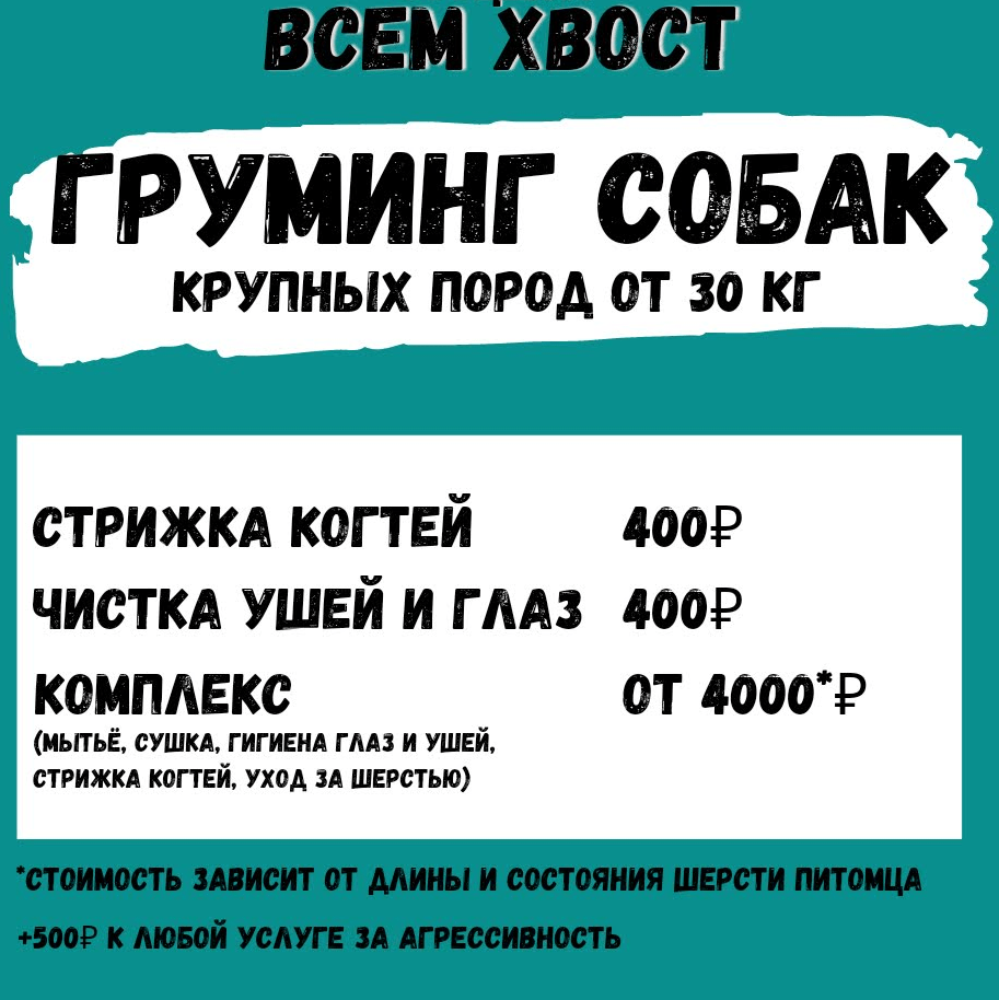 Купить Груминг собак от 30 кг