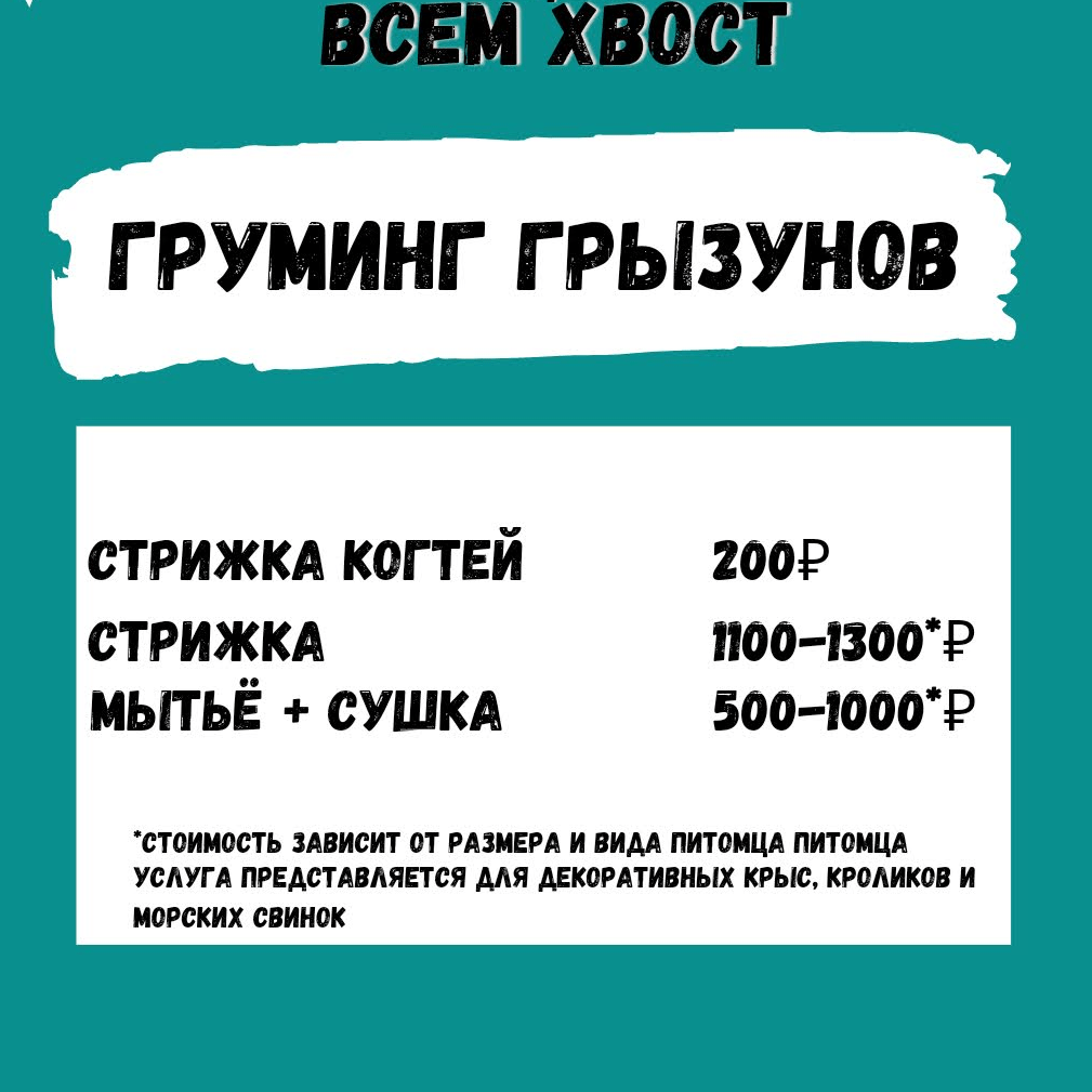 Купить Груминг грызунов