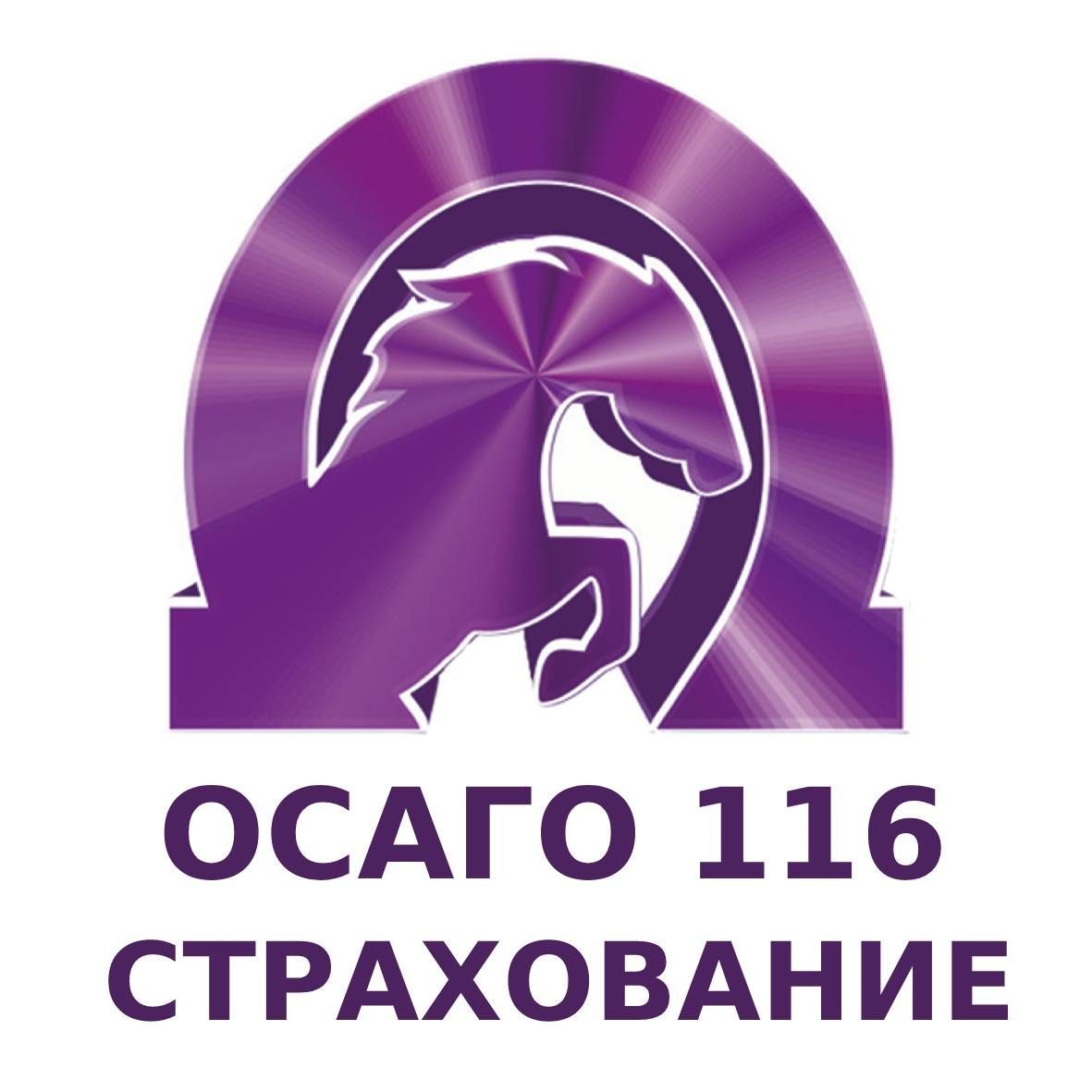 ОБЪЕДИНЕНИЕ МОЛОДЁЖНОГО СТРОИТЕЛЬСТВА РЕСПУБЛИКИ ТАТАРСТАН - РОО "ОМС РТ"