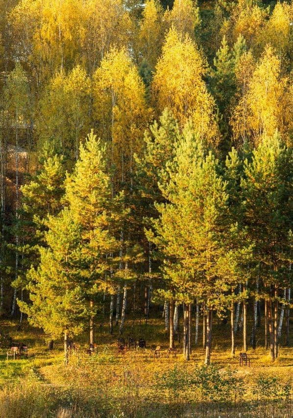 Фото окрестностей Доброграда
