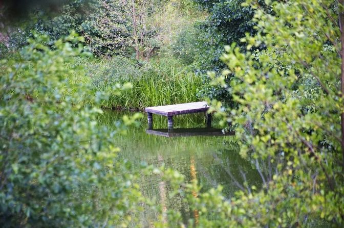Фото окрестностей Доброграда
