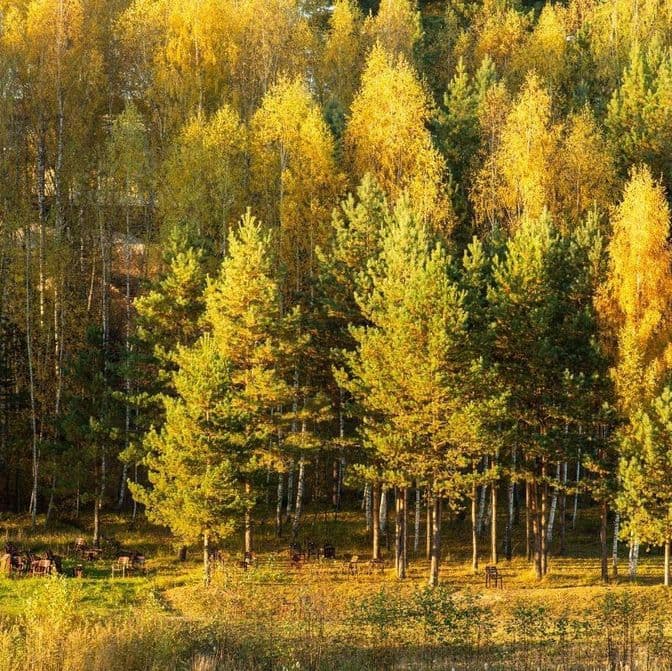 Фотогалерея