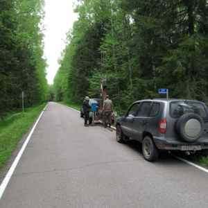 дорога в лесу