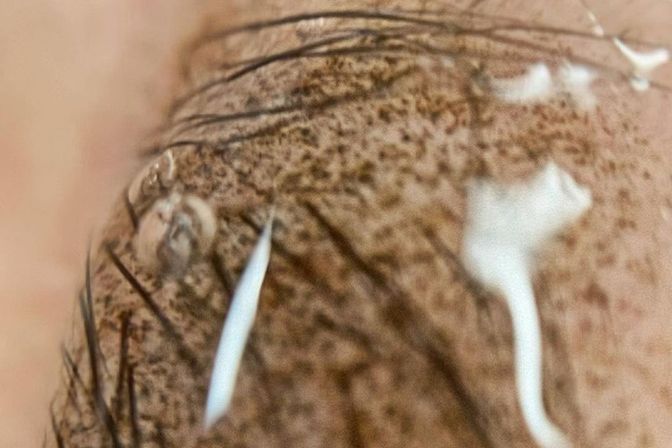 Галерея работ 