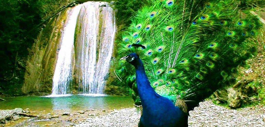 При выезде из Анапы в направлении поселка Сукко на горе Фавор высится 19-метровый Поклонный крест. Освященный в 2005 году в ознаменование 60-й годовщи