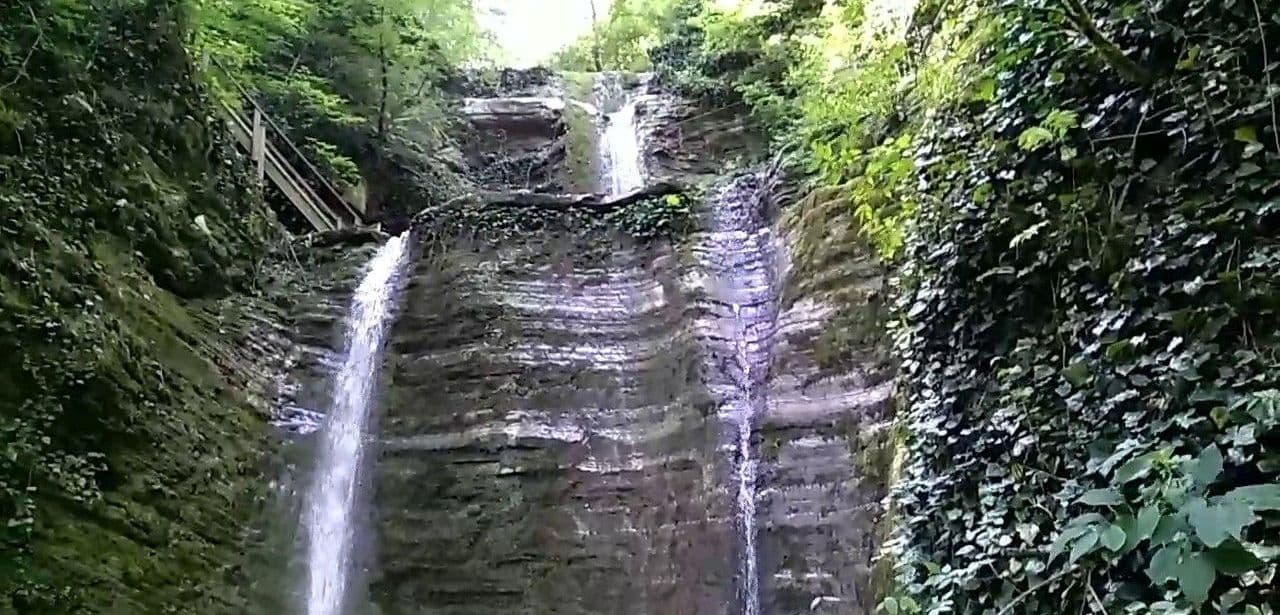 Кипарисовое озеро прекрасно в любое время года. Летом в пик приморской жары здесь приятно укрыться в тени деревьев. По берегам вокруг озера растут ска