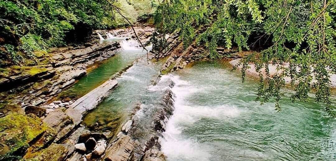 Домашнее или гаражное виноделие за последние пять лет сильно набрало популярность в России. На юге это именно виноделие, в регионах, где виноград не р