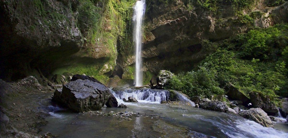 Домашнее или гаражное виноделие за последние пять лет сильно набрало популярность в России. На юге это именно виноделие, в регионах, где виноград не р