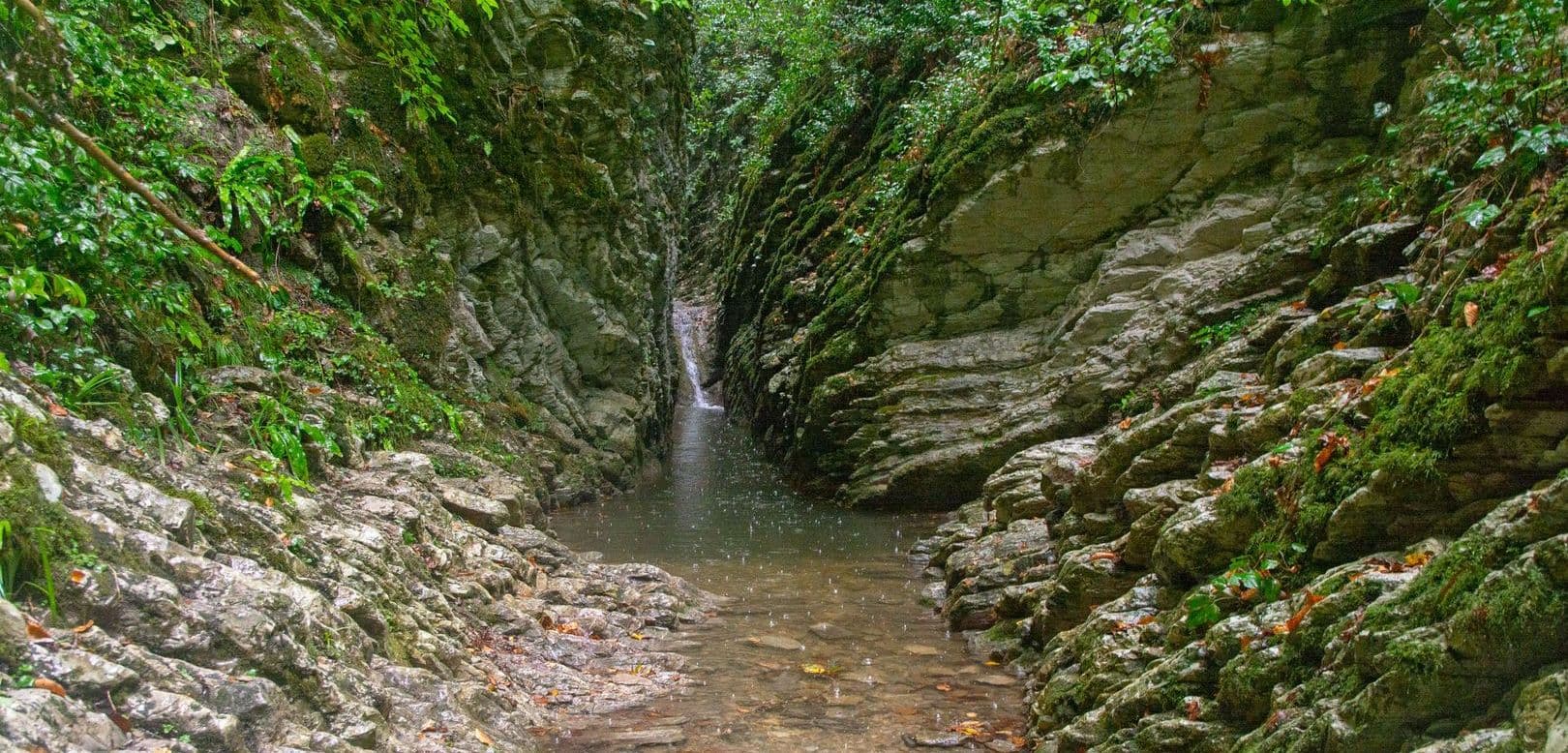 Домашнее или гаражное виноделие за последние пять лет сильно набрало популярность в России. На юге это именно виноделие, в регионах, где виноград не р