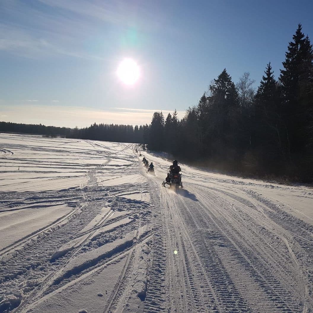 Купить Snowmobile Safari